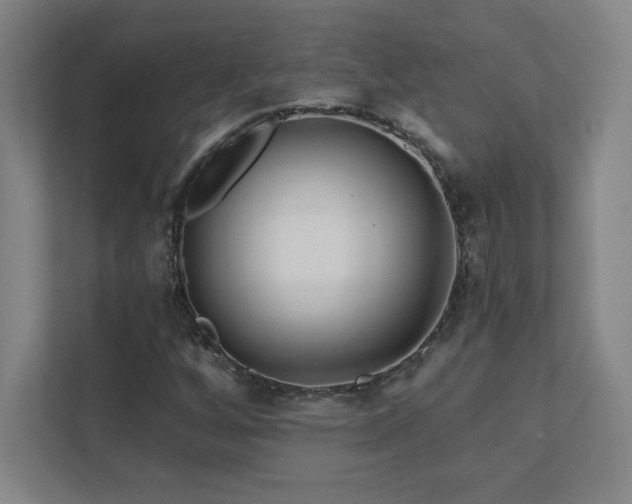 X0000111791256200907231136