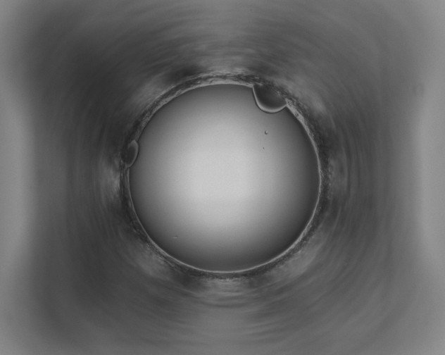 X0000111791257200907231136