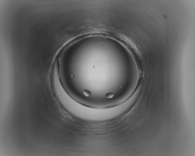 X0000111791260200907231136