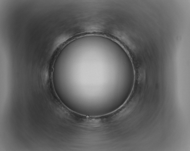 X0000111791261200907231136