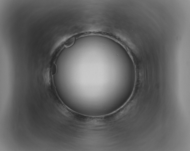 X0000111791262200907231136