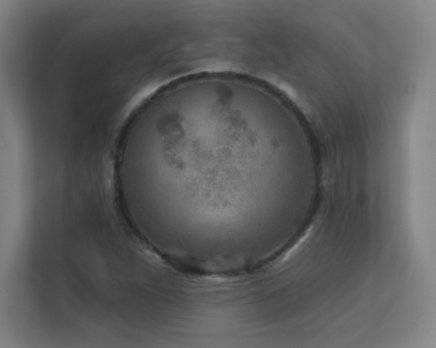 X0000111791263200907231136