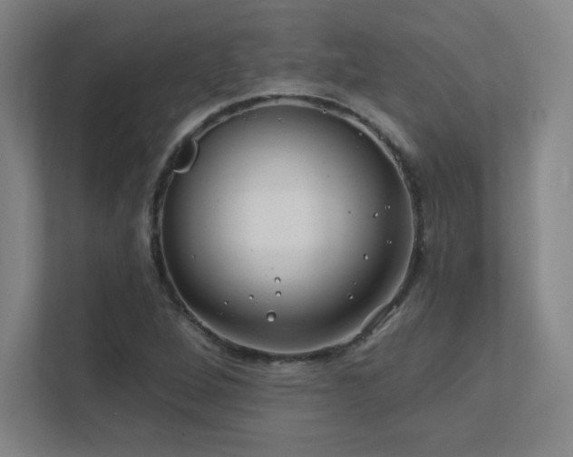 X0000111791264200907231136
