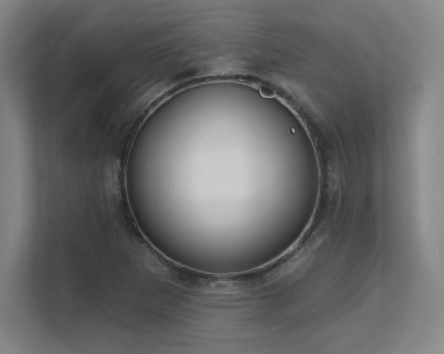 X0000111791265200907231136