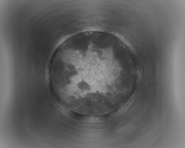 X0000111791266200907231136