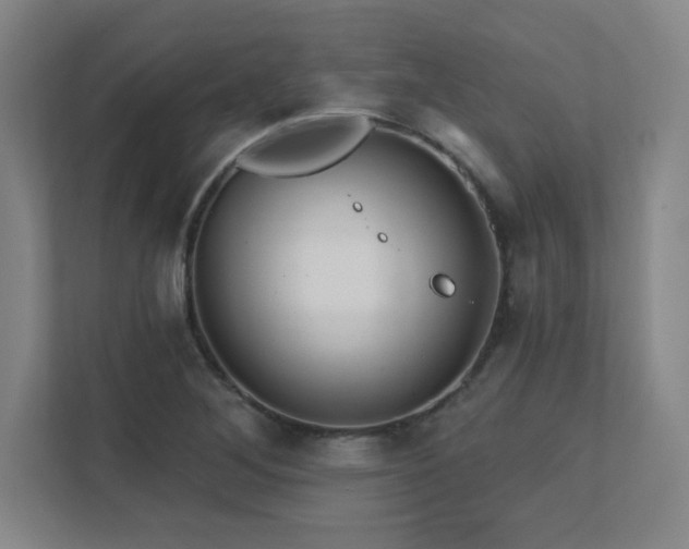 X0000111791268200907231136