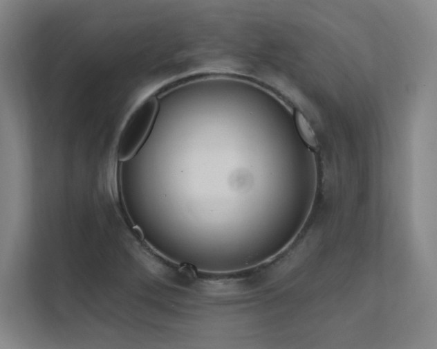 X0000111791272200907231135