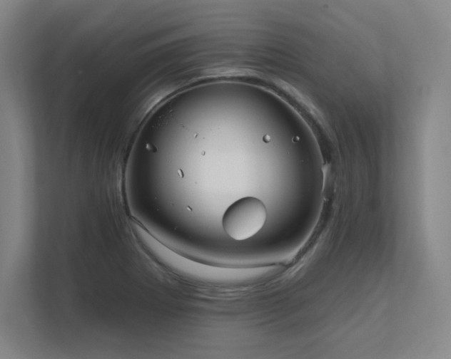 X0000111791273200907231135