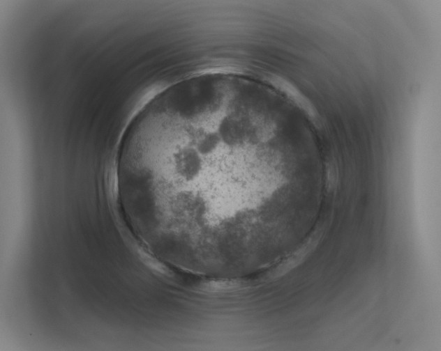 X0000111791274200907231135