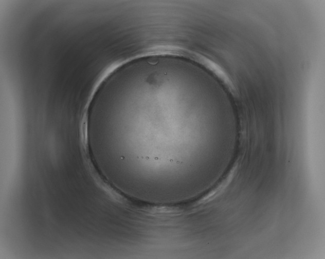 X0000111791275200907231135