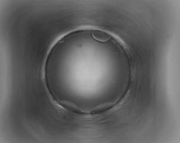 X0000111791279200907231135
