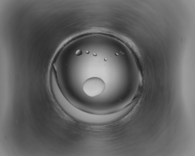 X0000111791280200907231135