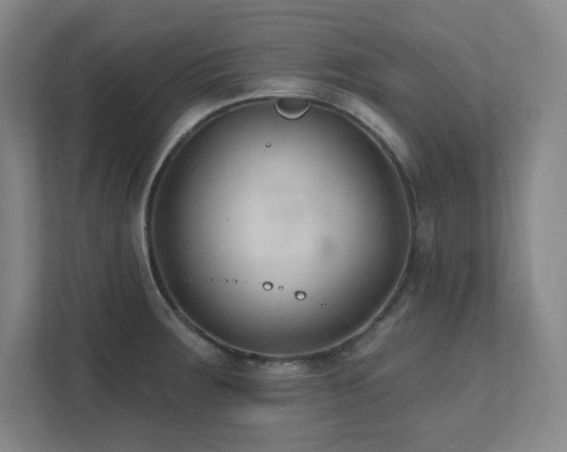X0000111791283200907231135