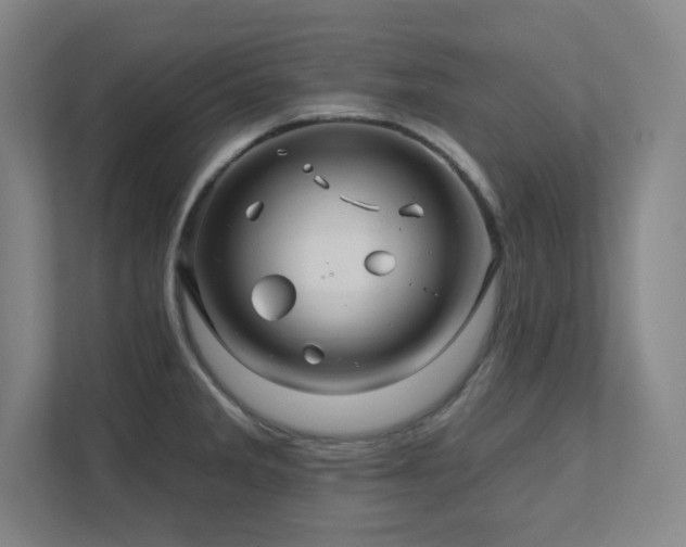 X0000111791285200907231135
