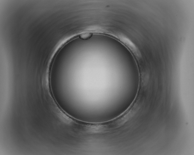 X0000111791288200907231135