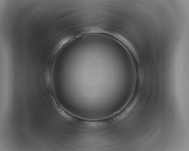 X0000111791289200907231135
