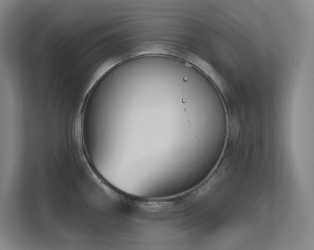 X0000111791290200907231135