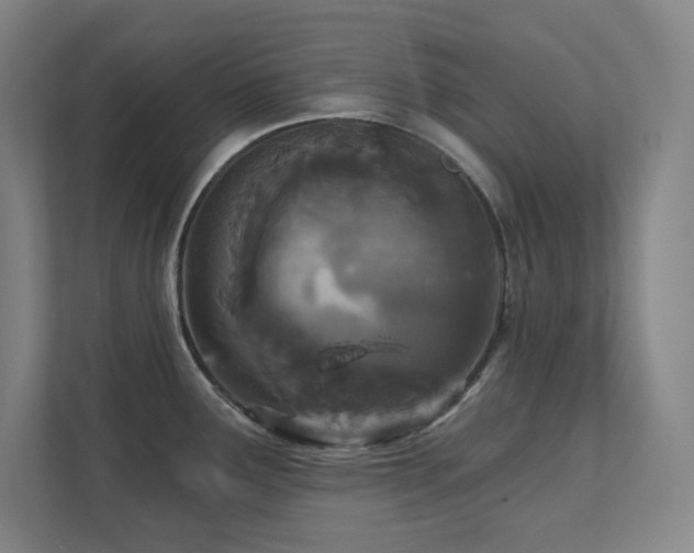 X0000111791291200907231135