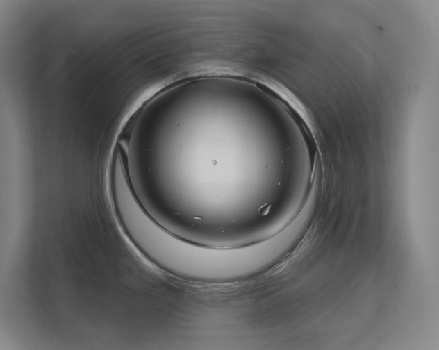X0000111791293200907231135