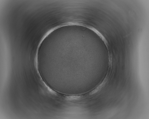 X0000111791294200907231135