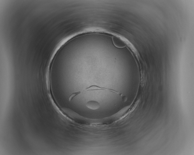 X0000111791295200907231135