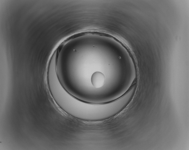 X0000111791296200907231135