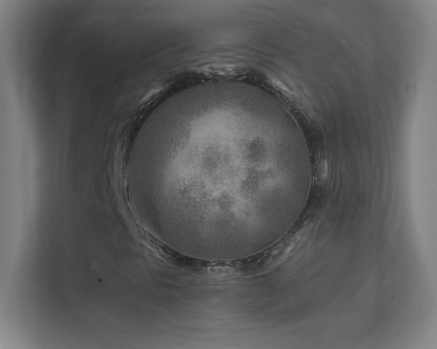 X0000111791297200907231135