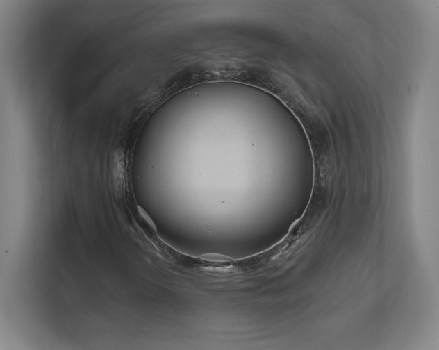 X0000111791298200907231135