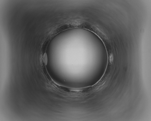 X0000111791299200907231135