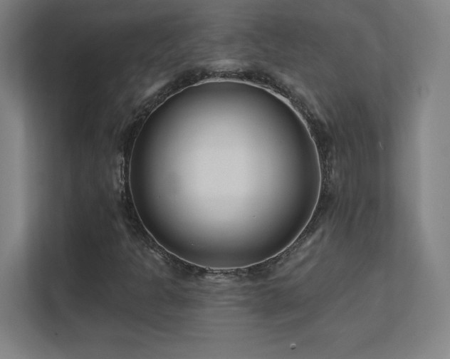 X0000111791301200907231135