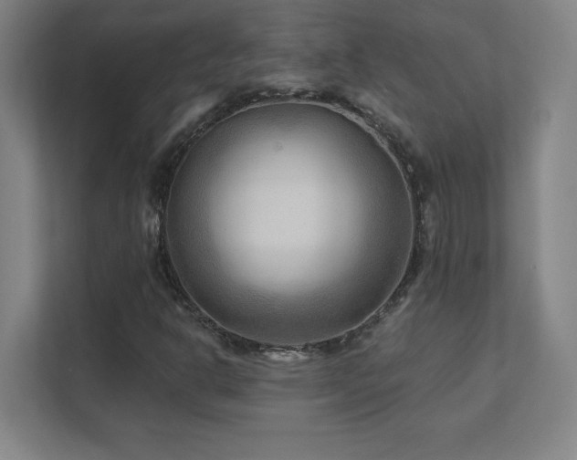 X0000111791302200907231135