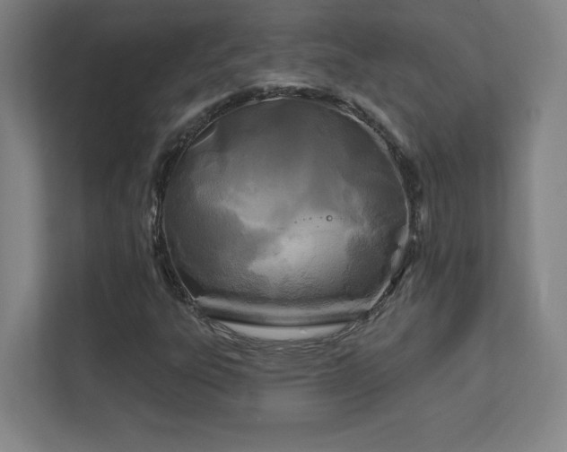 X0000111791303200907231135