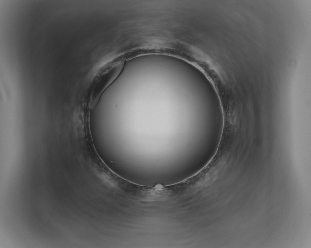X0000111791304200907231135