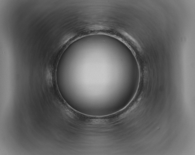 X0000111791305200907231135