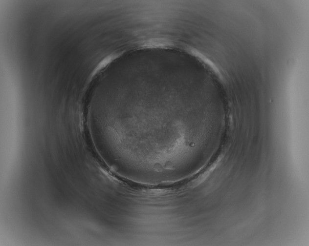 X0000111791306200907231135