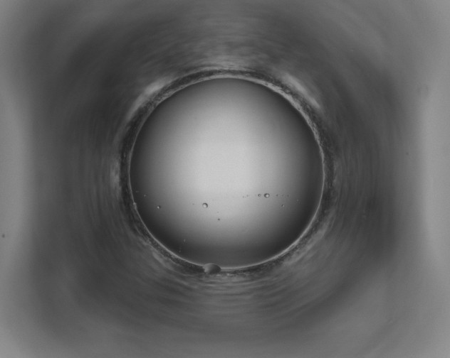 X0000111791307200907231135