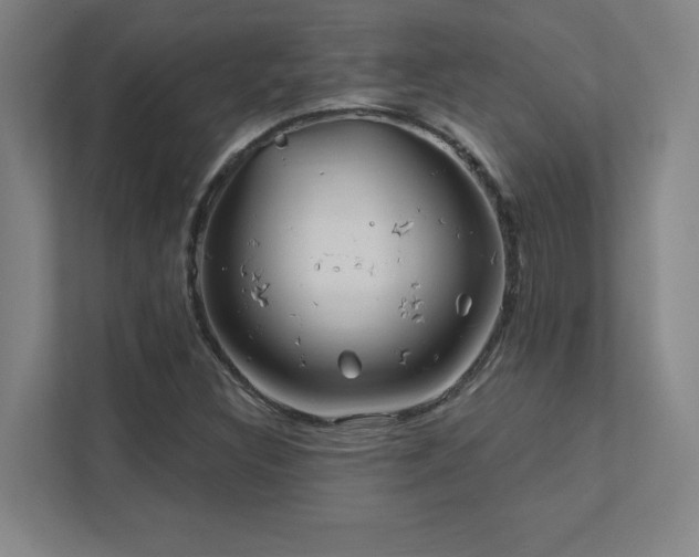 X0000111791308200907231135