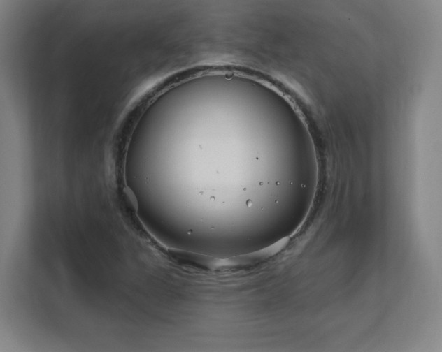 X0000111791311200907231135