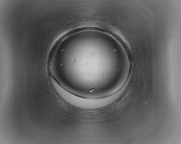 X0000111791312200907231135