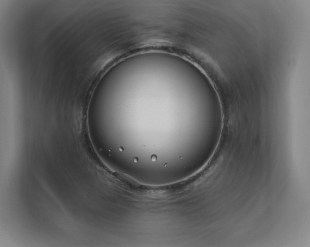 X0000111791313200907231135