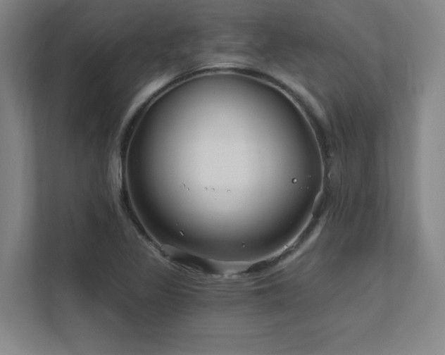 X0000111791317200907231135