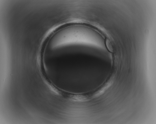 X0000111791319200907231135