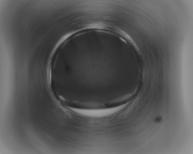X0000111791323200907231135