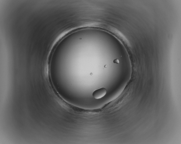 X0000111791324200907231135