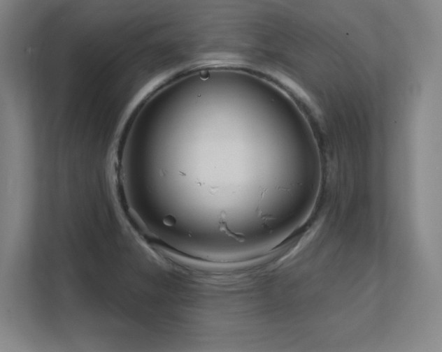 X0000111791325200907231135
