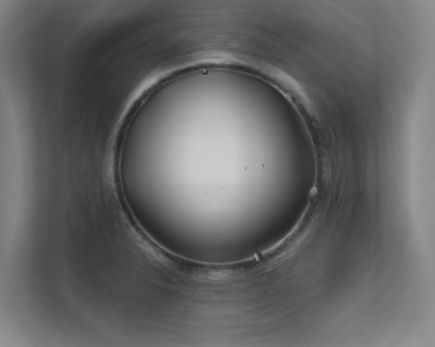 X0000111791326200907231135