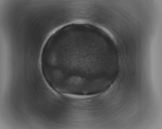 X0000111791327200907231135
