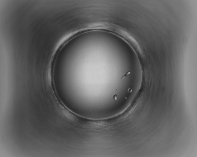 X0000111791328200907231135
