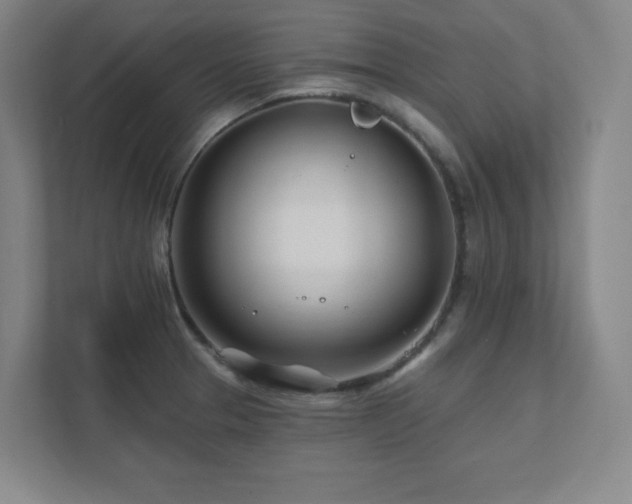 X0000111791329200907231135