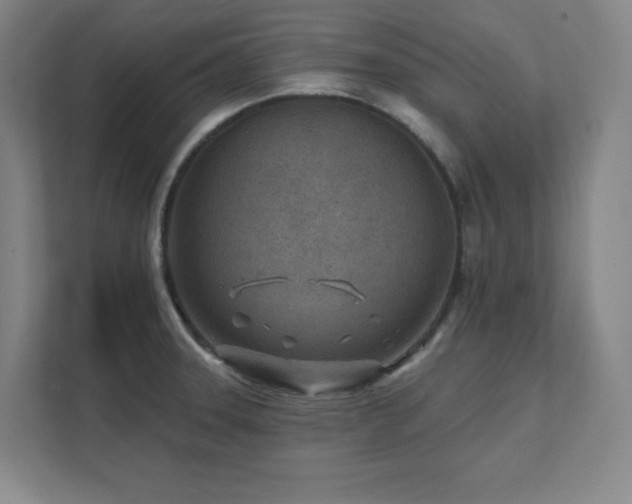 X0000111791331200907231135